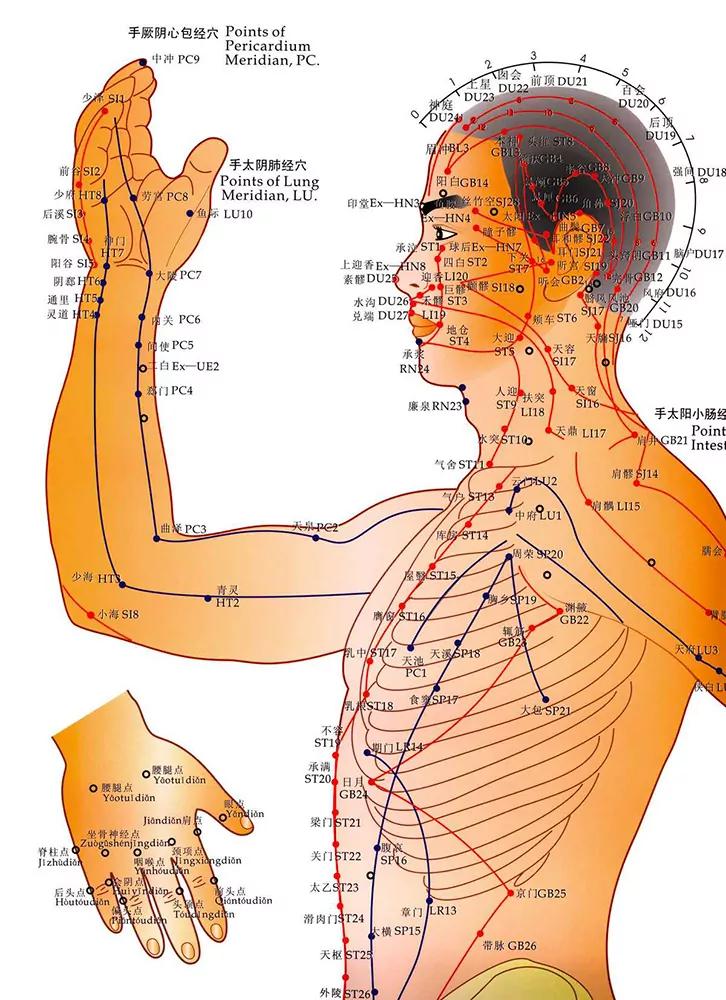acupuncture chart