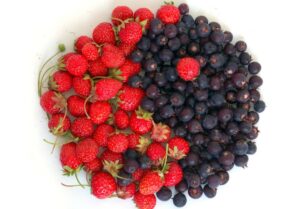 yin yang made of berries