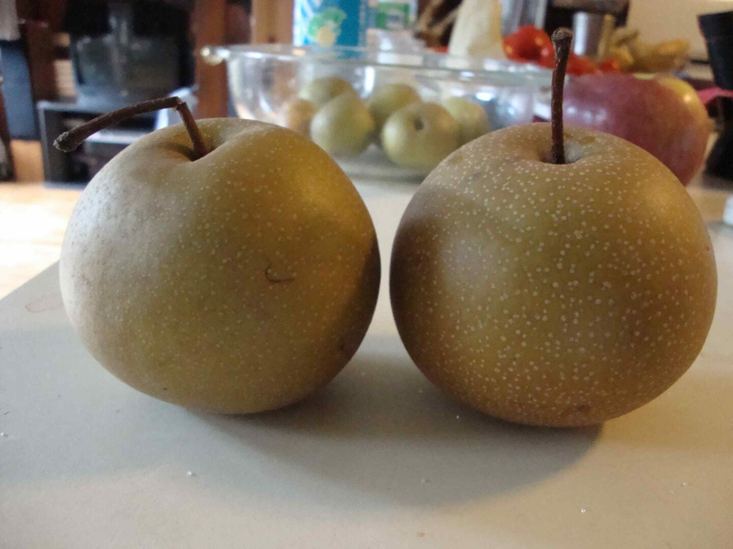 Asian Pear 1 scaled 1