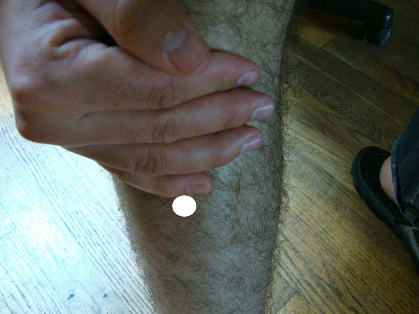 Stomach 37 1 scaled 1