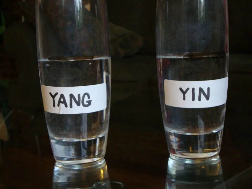 Yin and Yang