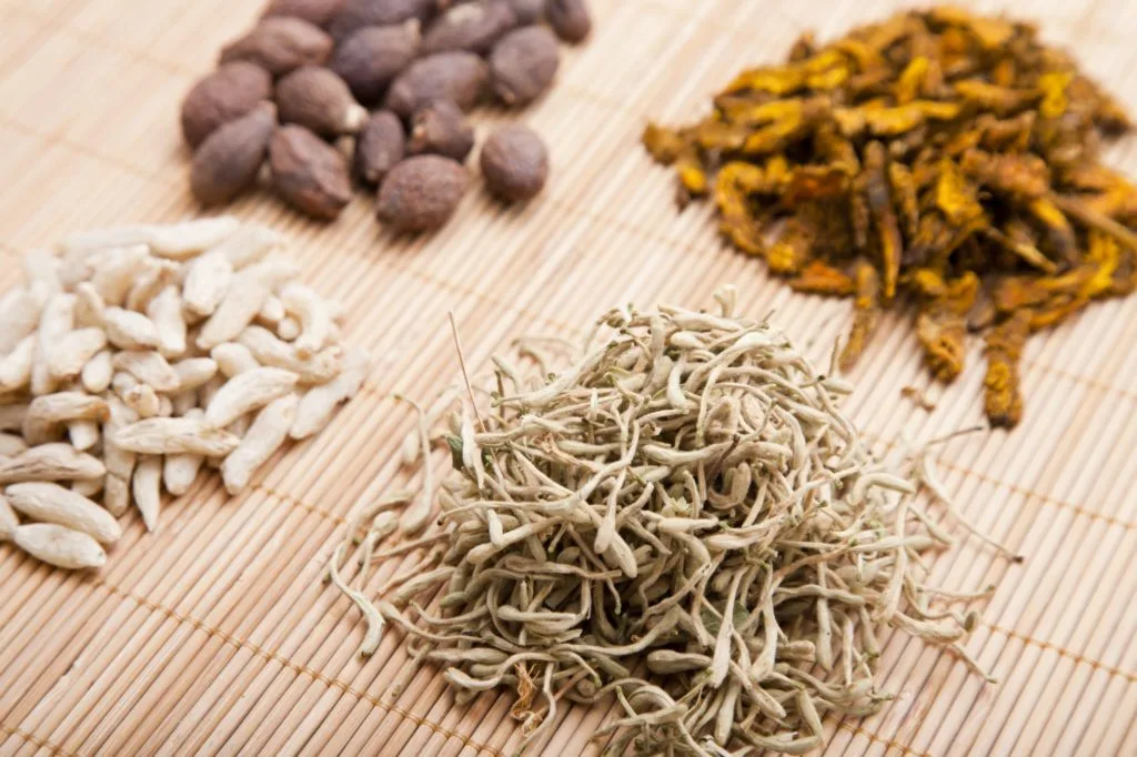 Chinese herbs for digestion