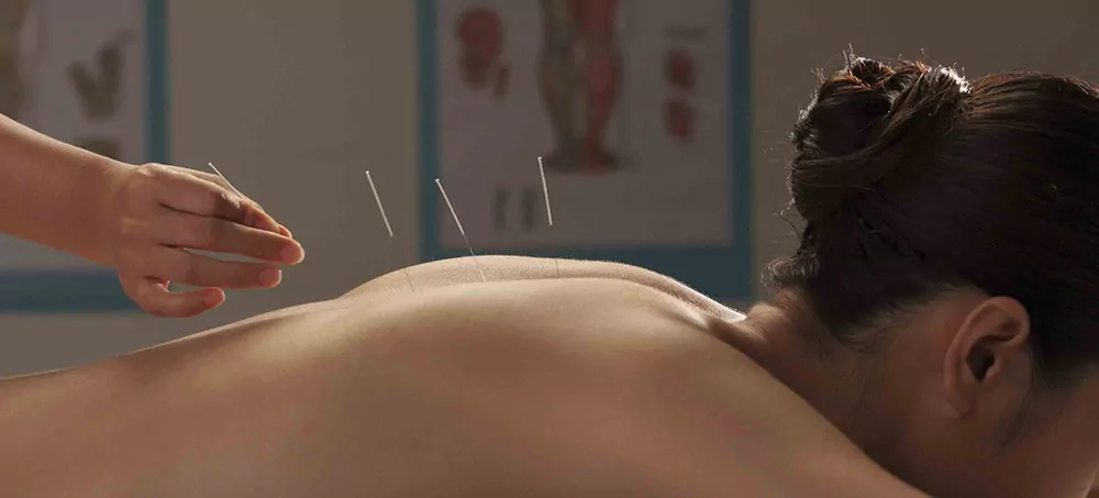 Female Libido and Sexual Function