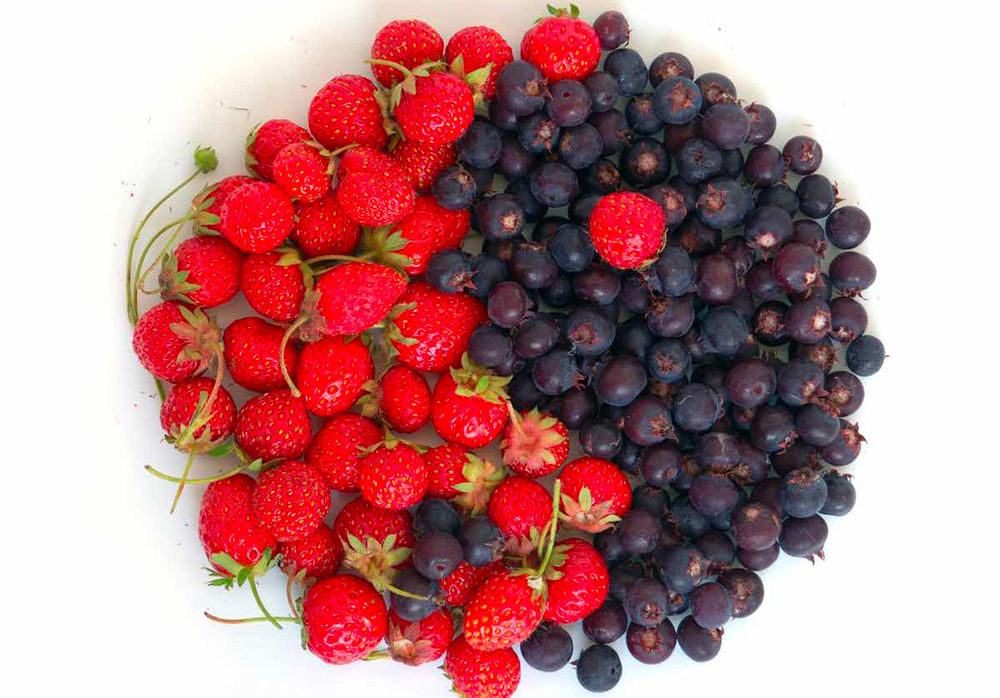 yin yang berries