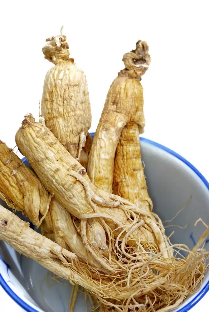 ginseng root