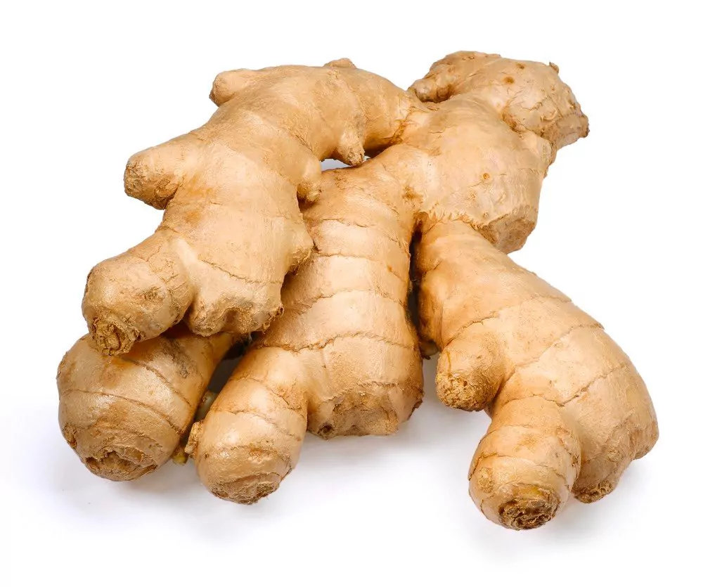 ginger root ginger root