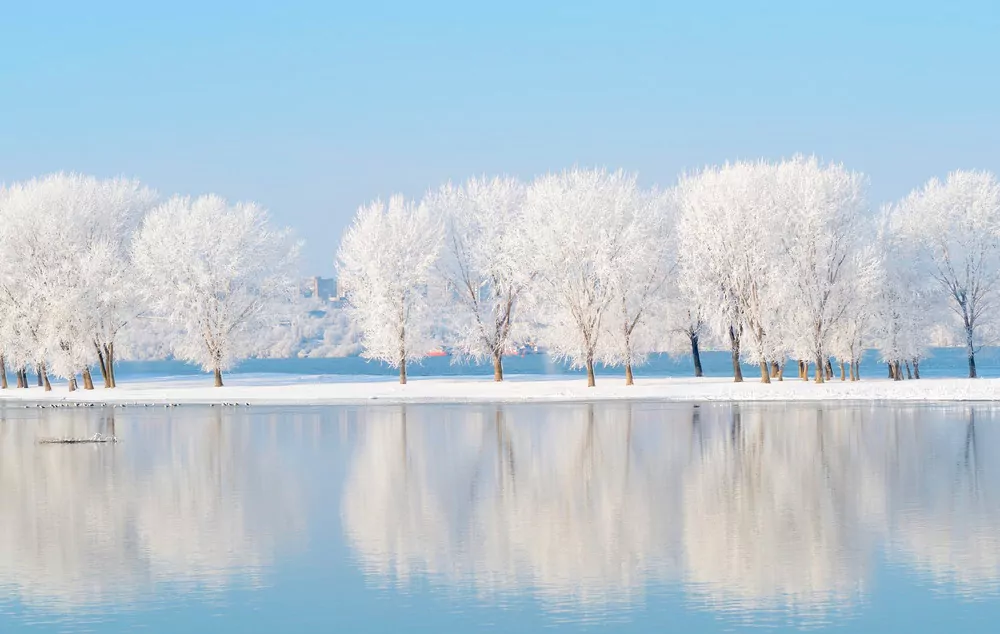 winter landscape winter landscape