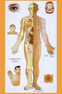 acupuncture channel diagram