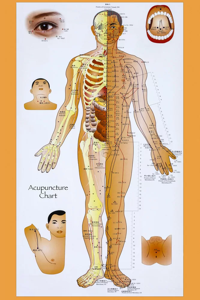 acupuncture channel diagram