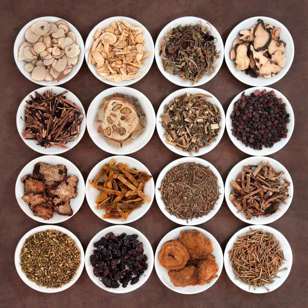 collection of chinese herbs