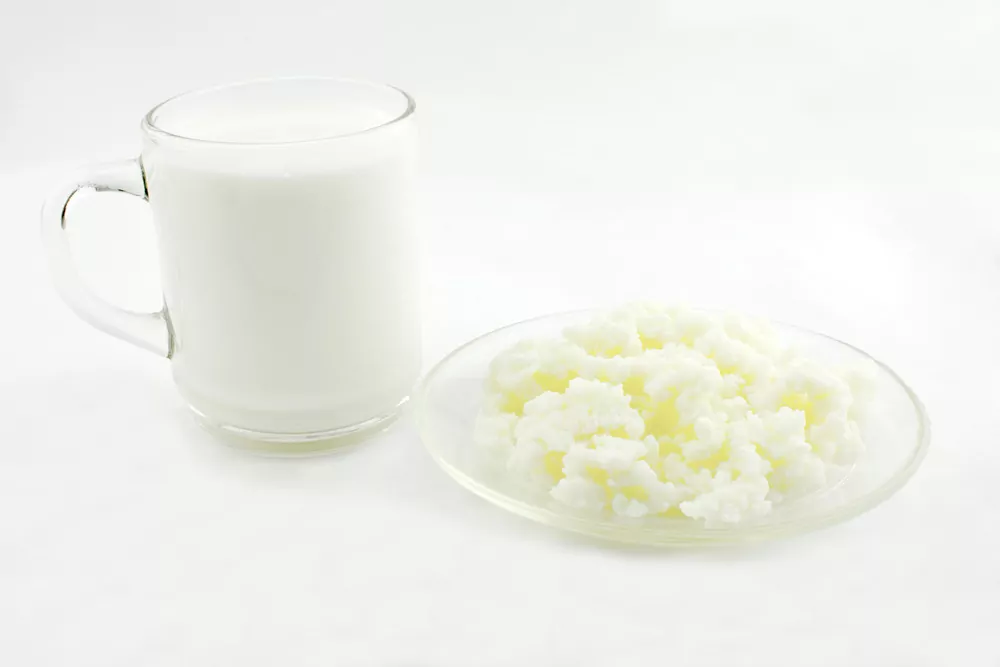 kefir and milk