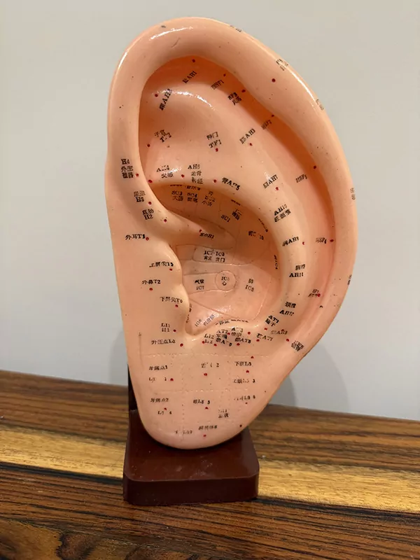 Rubbing the ears