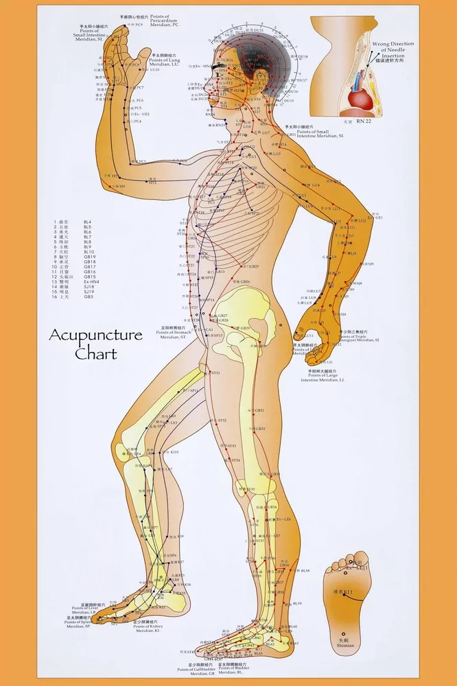 acupuncture charts acupuncture charts