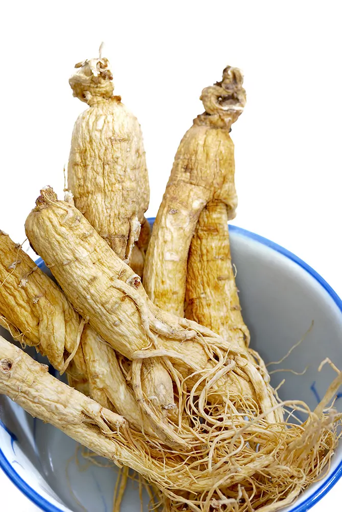 ginseng