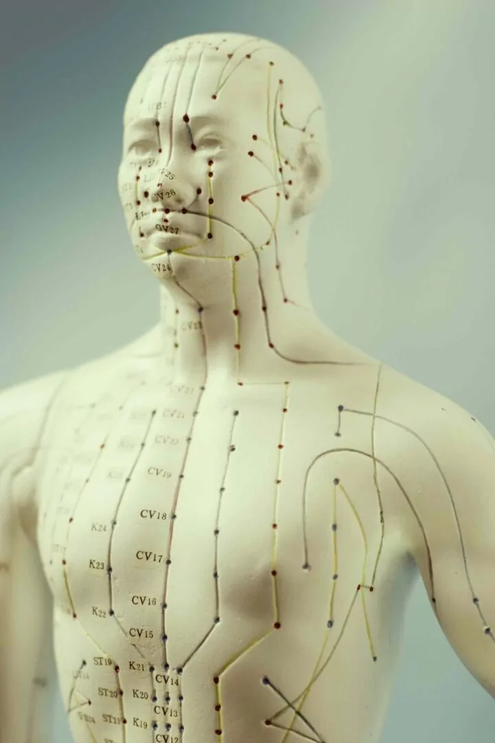 acupuncture channel model