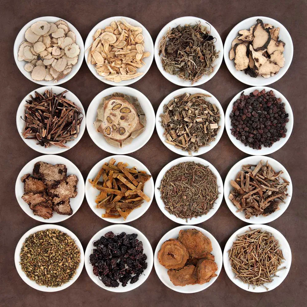 chinese herbs