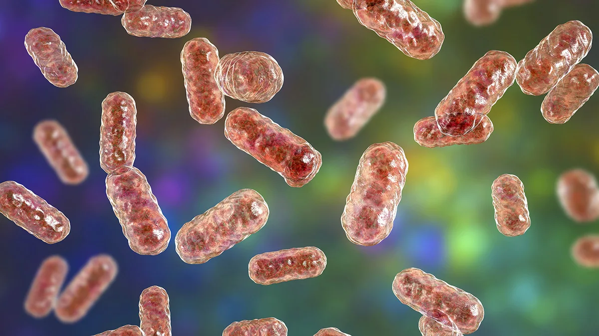 microbiome