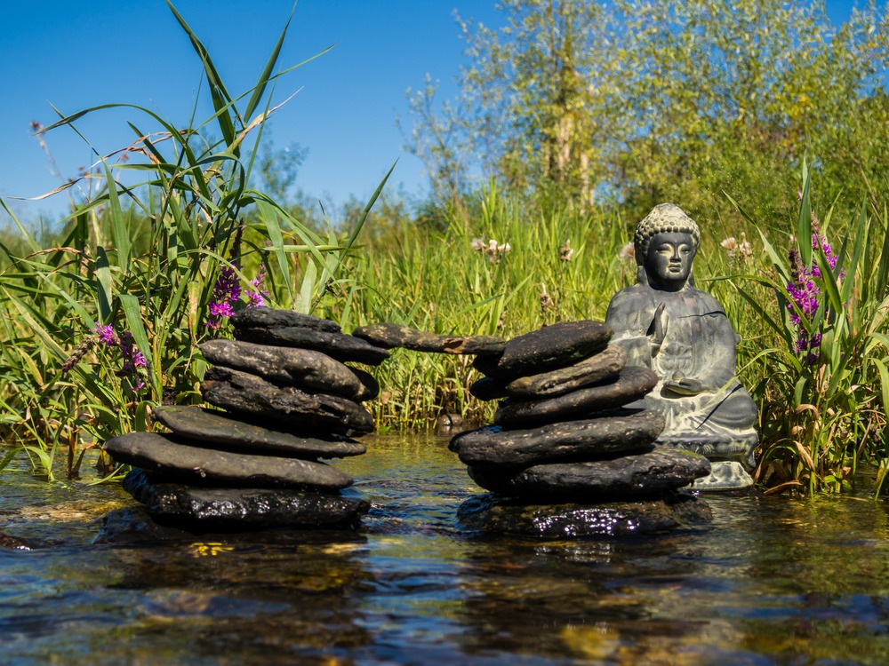 zen garden