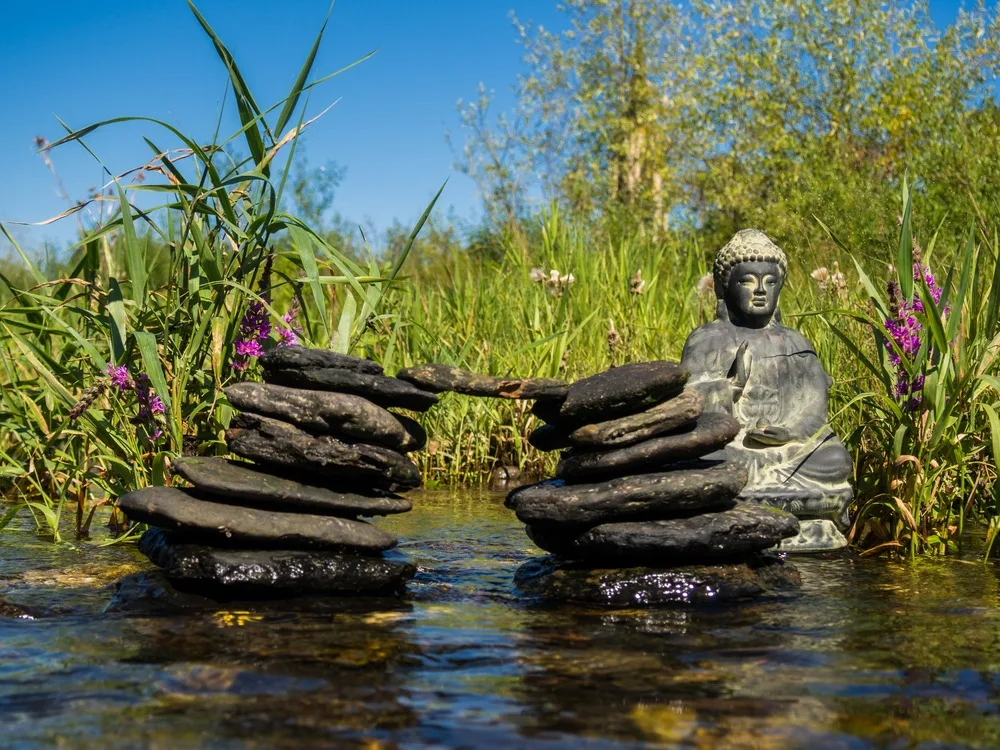 zen garden